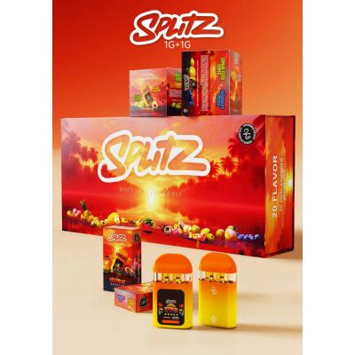 Splitz 2g Dual Chamber Empty Vape Pen with LCD Screen (1G+1G)